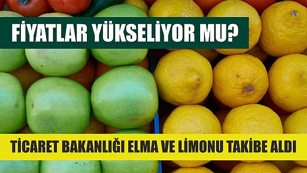 Fiyatlar Yükseliyor Mu? Ticaret Bakanlığı Elma ve Limonu Takibe Aldı