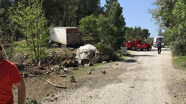 Freni boşalan kamyon ormana daldı