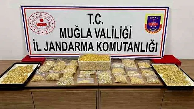 Gasp ettikleri 16 kilo altını toprağa gömdüler, jandarmadan kaçamadılar