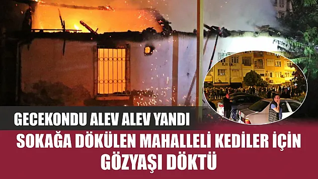 Gecekondu alev alev yandı, sokağa dökülen mahalleli kediler için gözyaşı döktü