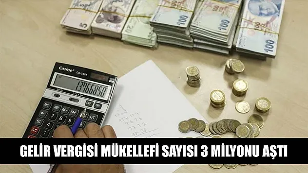 Gelir vergisi mükellefi sayısı 3 milyonu aştı