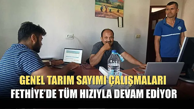 Genel Tarım Sayımı Çalışmaları Fethiye'de Tüm Hızıyla Devam Ediyor
