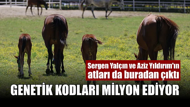 Genetik kodları milyon ediyor