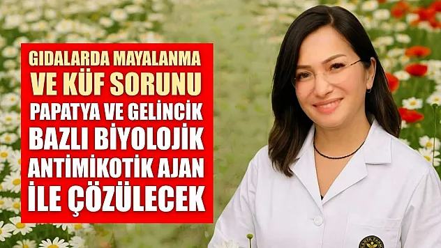 Gıdalarda mayalanma ve küf sorunu papatya ve gelincik bazlı biyolojik antimikotik ajan ile çözülecek