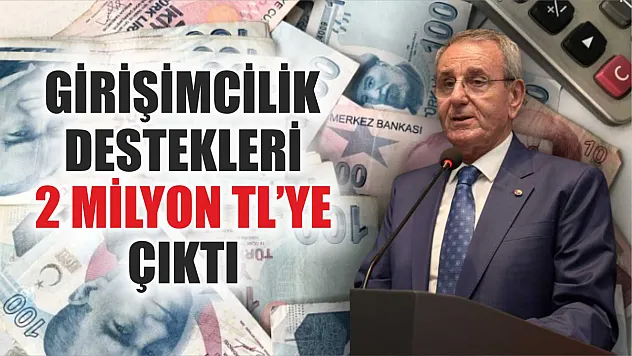 Girişimcilik destekleri 2 milyon TL'ye çıktı