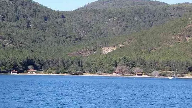 Göcek'te koylardaki kaçak yapılaşma yerinde incelendi