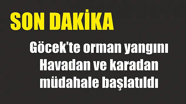 Göcek'te orman yangını: Havadan ve karadan müdahale başlatıldı