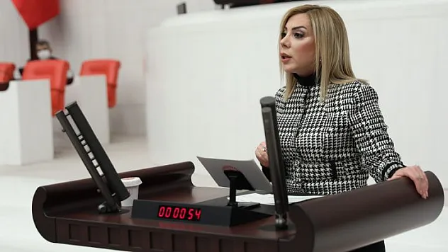 Gökcan '2022 yılı, bizim en parlak yılımız olacak'