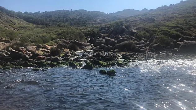 Gökmen 'İçimiz Kan Ağlıyor!'