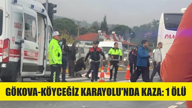 Gökova-Köyceğiz Karayolu'nda kaza: 1 ölü