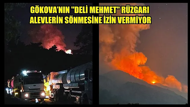Gökova'nın 'Deli Mehmet'i alevlerin sönmesine izin vermiyor
