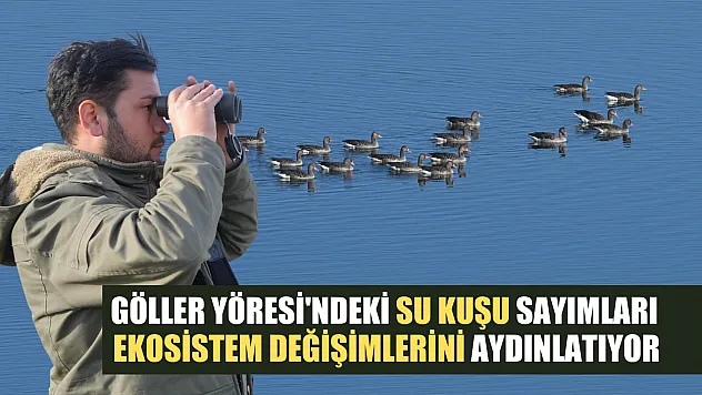 Göller Yöresi'ndeki su kuşu sayımları ekosistem değişimlerini aydınlatıyor