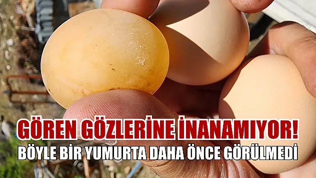 Gören gözlerine inanamıyor! Böyle bir yumurta daha önce görülmedi