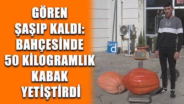 Gören şaşıp kaldı: Bahçesinde 50 kilogramlık kabak yetiştirdi