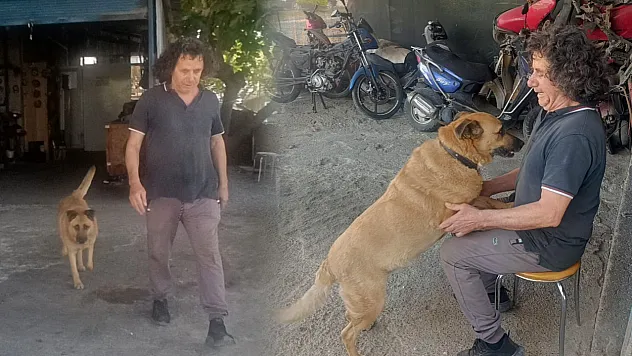 Gözleri görmeyen köpeğe 13 yıldır evladı gibi bakıyor