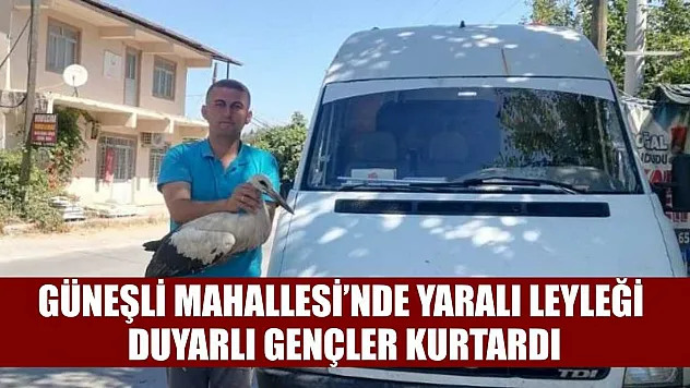 Güneşli Mahallesi'nde Yaralı Leyleği Duyarlı Gençler Kurtardı