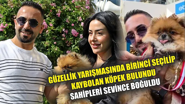 Güzellik yarışmasında birinci seçilip kaybolan köpek bulundu, sahipleri sevince boğuldu