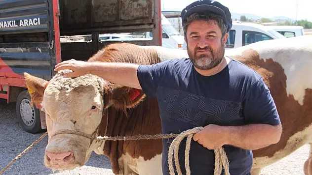 'PAŞA' 48 BİN TL'YE SATILDI