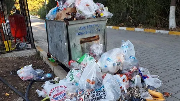 Tatilciler Gitti Çöpler Kaldı