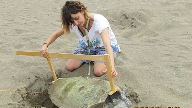 EMRE ' 9 SAATTE CARETTA CARETTA KAPLUMBAĞALARI KULLANSIN'