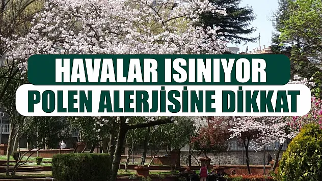 Havalar ısınıyor polen alerjisine dikkat