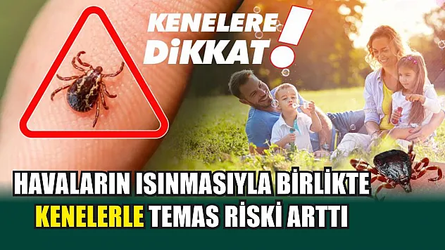 Havaların ısınmasıyla birlikte kenelerle temas riski arttı
