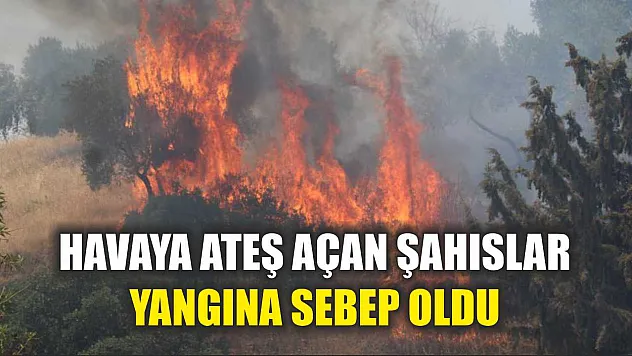 Havaya ateş açan şahıslar yangına sebep oldu