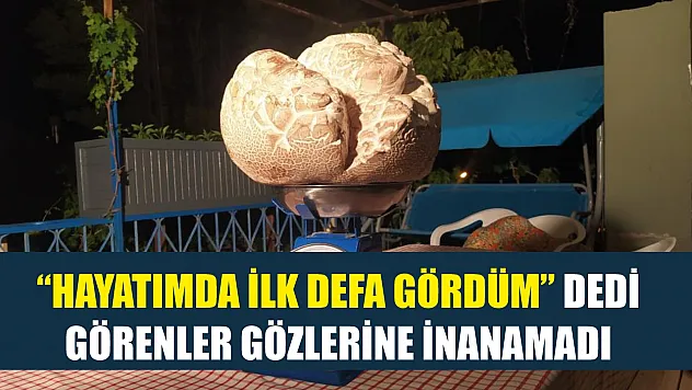 'Hayatımda ilk defa gördüm' dedi, görenler gözlerine inanamadı