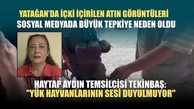 HAYTAP Aydın Temsilcisi Tekinbaş: 'Yük hayvanlarının sesi duyulmuyor'