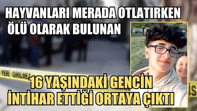 Hayvanları merada otlatırken ölü olarak bulunan 16 yaşındaki gencin intihar ettiği ortaya çıktı