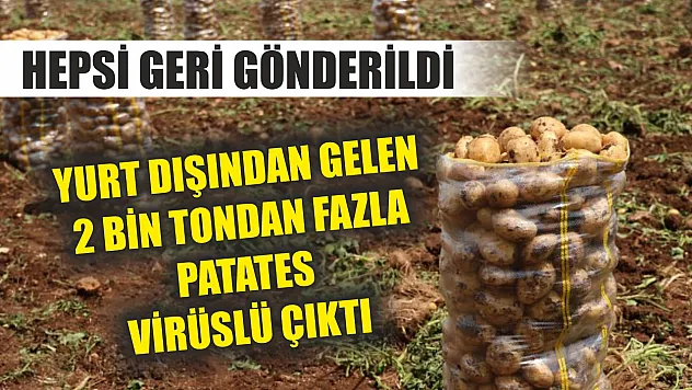 Hepsi geri gönderildi: Yurt dışından gelen 2 bin tondan fazla patates virüslü çıktı