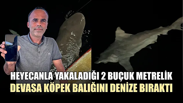 Heyecanla yakaladığı 2 buçuk metrelik devasa köpek balığını denize bıraktı