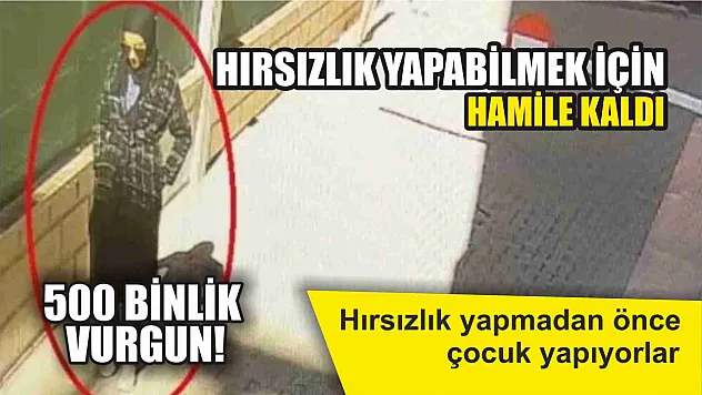 Hırsızlık yapabilmek için hamile kaldı, 500 binlik vurgun!