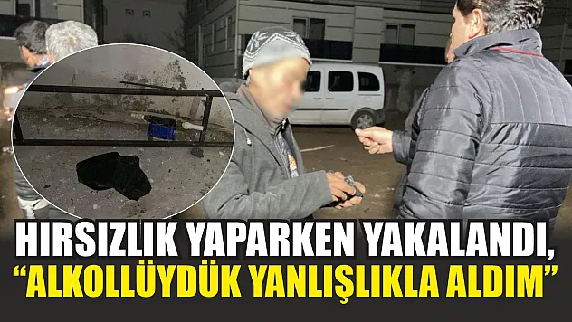 Hırsızlık yaparken yakalandı, 'Alkollüydük yanlışlıkla aldım' dedi