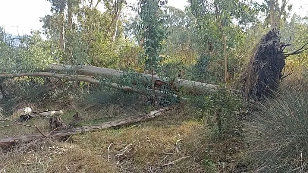 'HİSARÖNÜ PİKNİK ALANI PROJESİ' AÇIKLAMASI