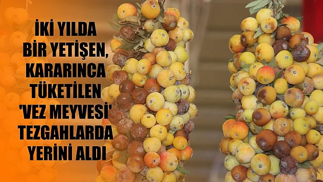 İki yılda bir yetişen, kararınca tüketilen 'vez meyvesi' tezgahlarda yerini aldı
