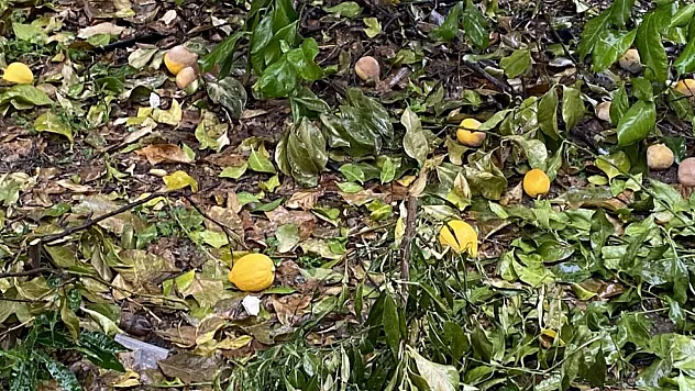 İl Müdürü Saylak'tan 'İklim' uyarısı