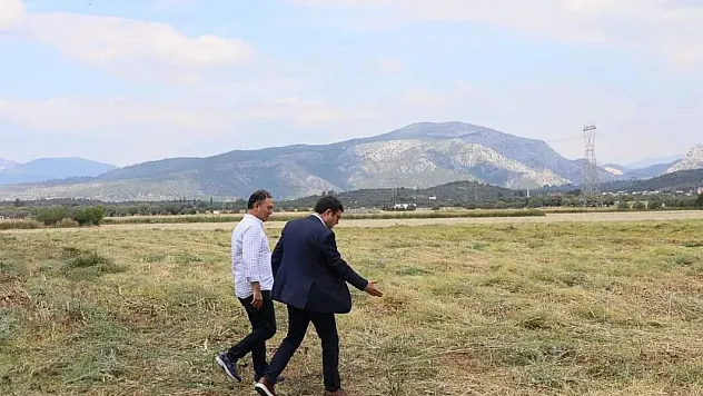 İlçe Tarımdan kadın üreticilere yem desteği