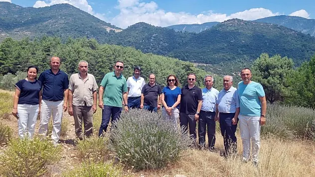 İncirköy ve Üzümlü'de Distilasyon Tesisi İçin İnceleme