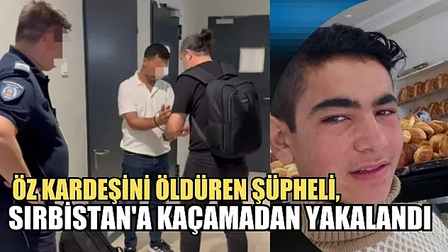 Interpol devreye girdi, öz kardeşini öldüren şüpheli, Sırbistan'a kaçamadan yakalandı