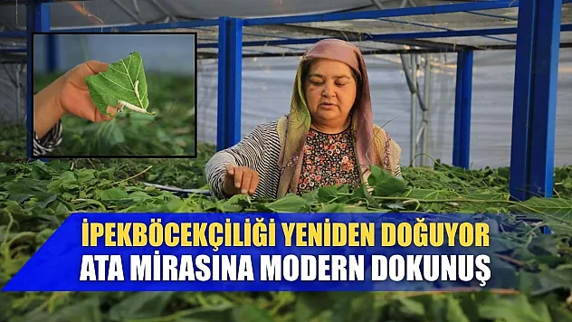 İpekböcekçiliği Yeniden Doğuyor: Ata Mirasına Modern Dokunuş