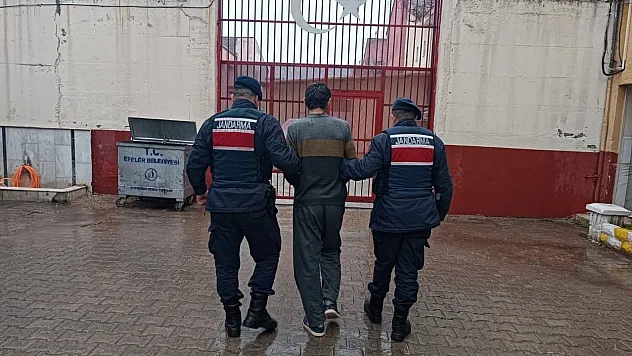 İş yeri hırsızlığı şüphelileri jandarmadan kaçamadı