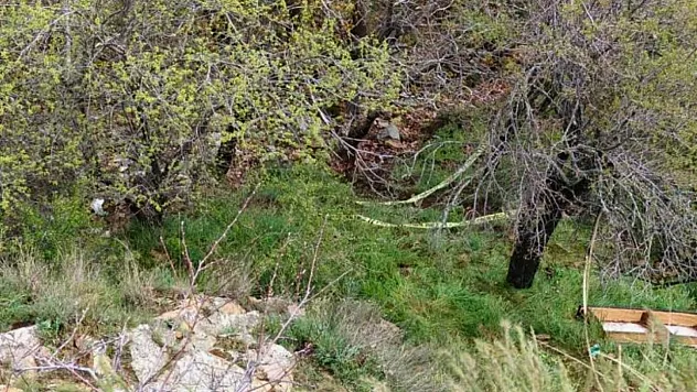Isparta'da yüksekten düşen 36 yaşındaki kadın hayatını kaybetti