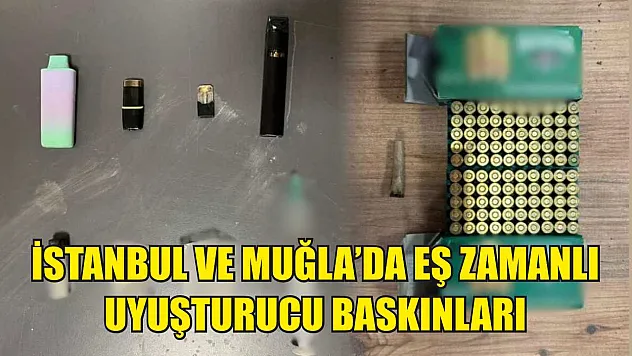 İstanbul ve Muğla'da Eş Zamanlı Uyuşturucu Baskınları