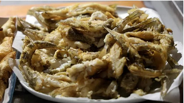 İstilacı balıklar ekonomiye kazandırılıyor