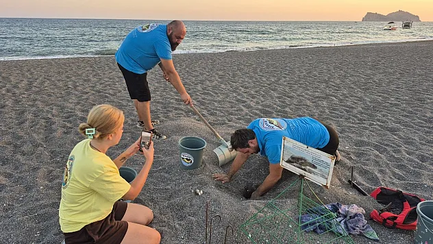 İtalya'da kurtarılan caretta caretta, Muğla sahilinde yumurtladı