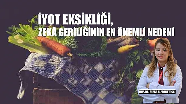 İyot eksikliği, zekâ geriliğinin en önemli nedeni