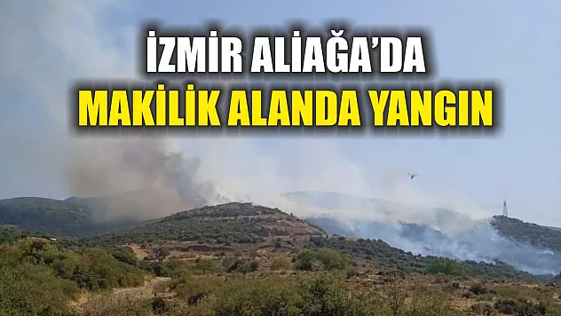 İzmir Aliağa'da makilik alanda yangın