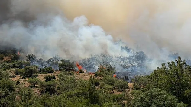 İzmir'de makilik alandaki yangına müdahale sürüyor