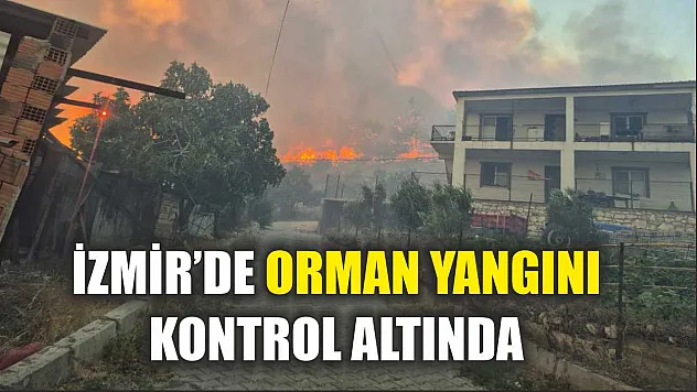 İzmir'de orman yangını kontrol altında